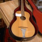 317 1058 Gitarr i fodral